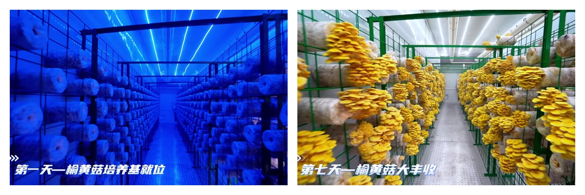 首页- 尊龙集团中国官网入口