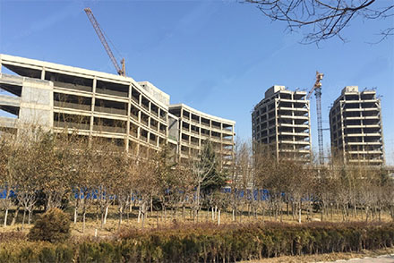 首页- 尊龙集团中国官网入口
